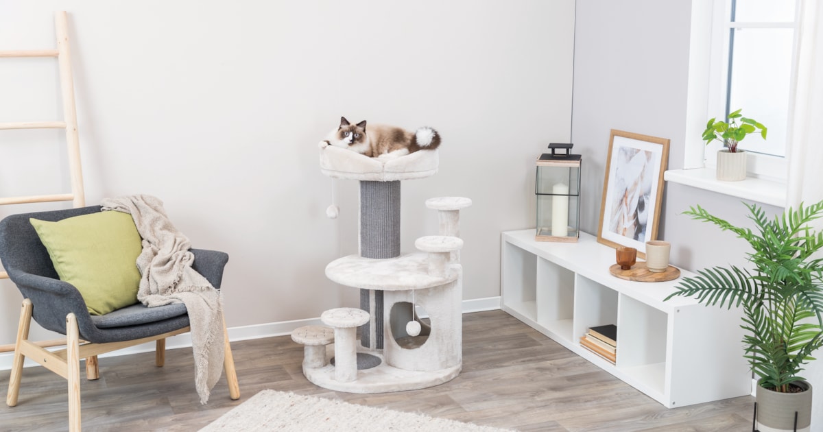 Trixie UK launches multiple new pet products Pet Product Marketing