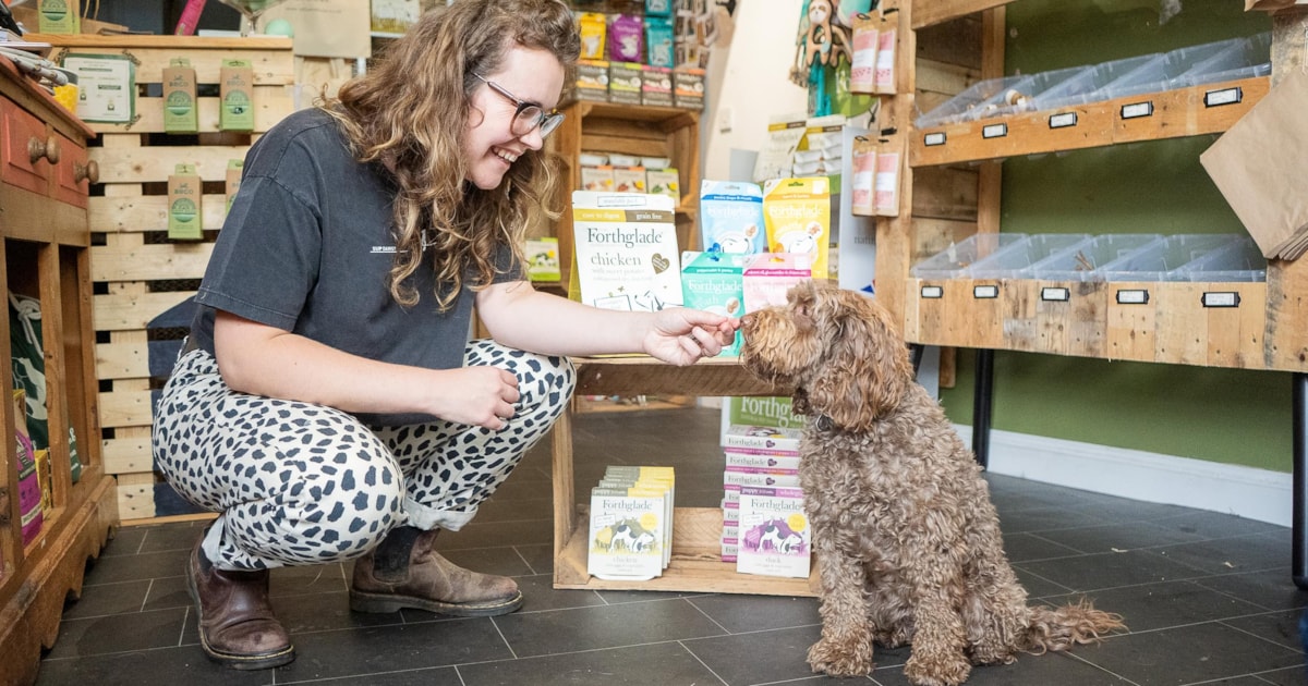 How to dogs into your shop Pet Product Marketing