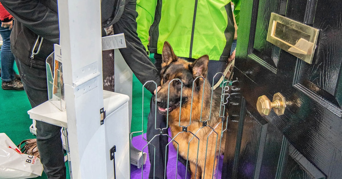 The DogG8 Company reports record sales at Crufts Pet Product Marketing