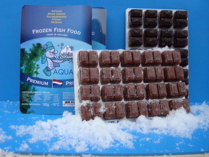 Aquadip launches new frozen fish food blister packs Practical Fishkeeping