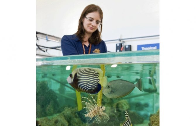 Fancy a job working with fish? Practical Fishkeeping