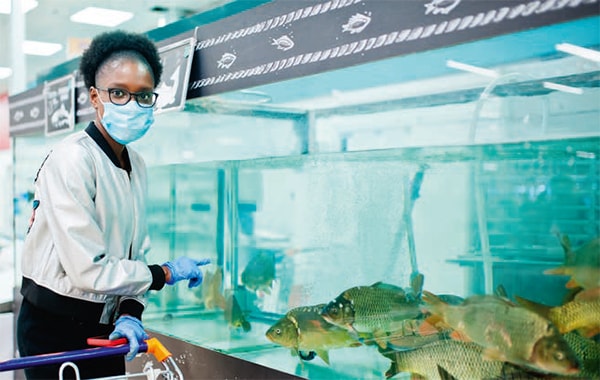 Obey the rules and use common sense to help protect our fish stores