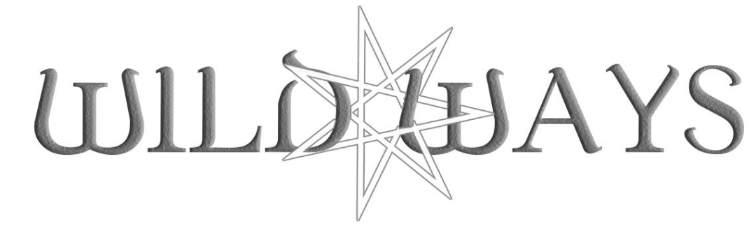 Wild Ways Tabletop Gaming