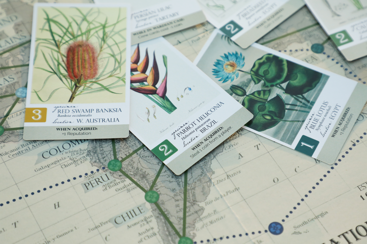 How Botany Designers Paint a Story of Bonkers Victorian Antics An