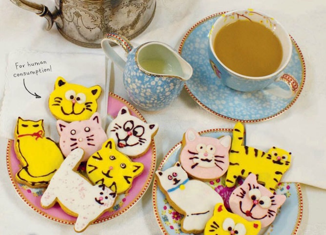 best cat biscuits