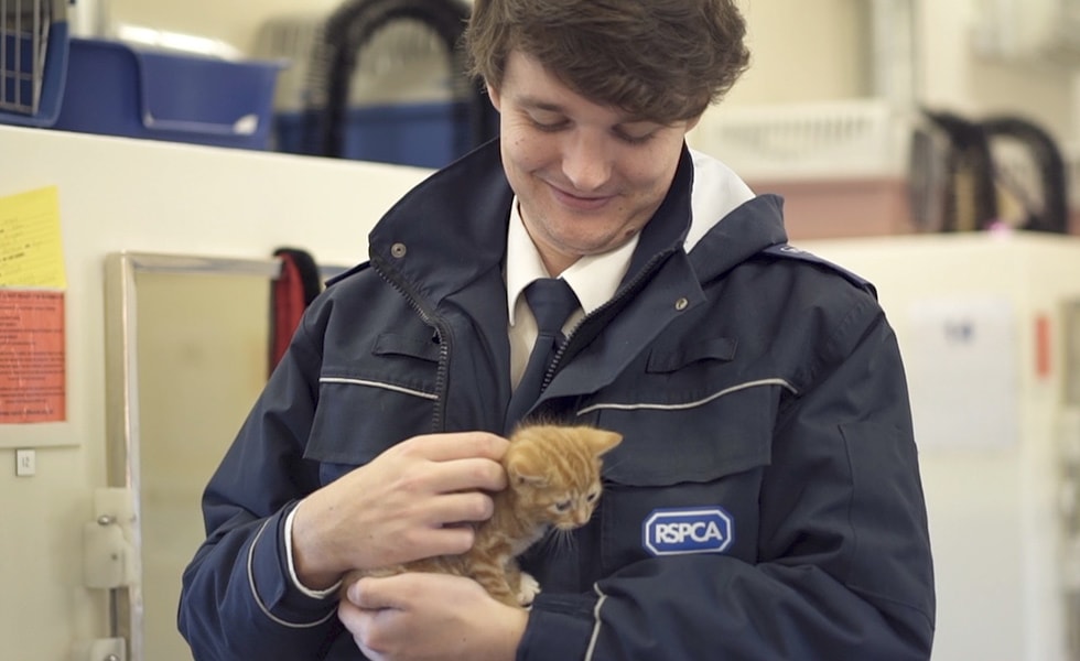 RSPCA releases tearjerking Christmas advert Your Cat