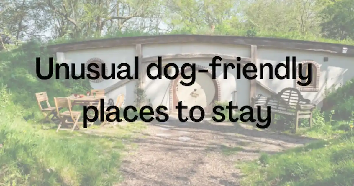 Places for deals dogs to stay