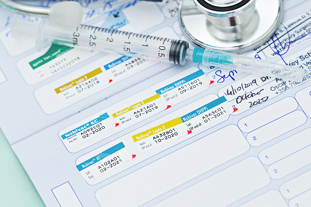 What vaccinations does my puppy need and when? Your Dog