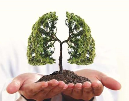 air filter ventilation filtration indoor air quality IAQ pollution