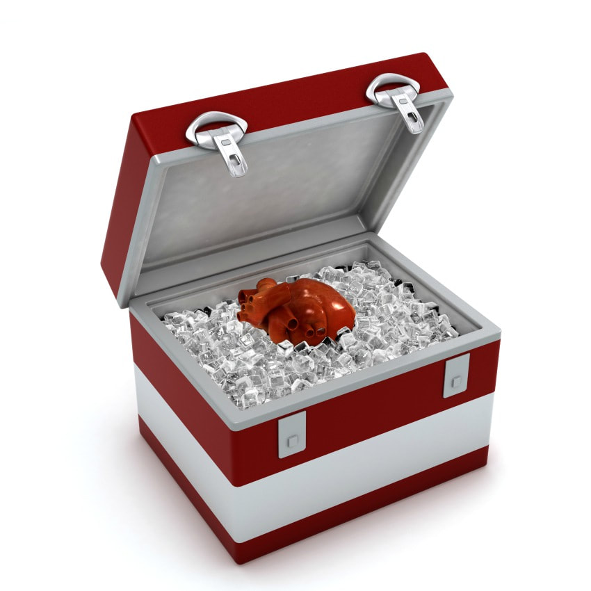 refrigeration data centre world day event cooling air conditioning transport celebration