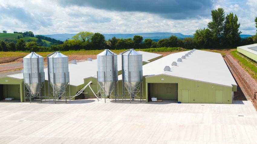 ventilation cooling poultry