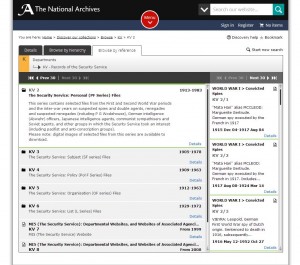 3. Use the scroll bar on the right-hand side to browse through the individual case detail
