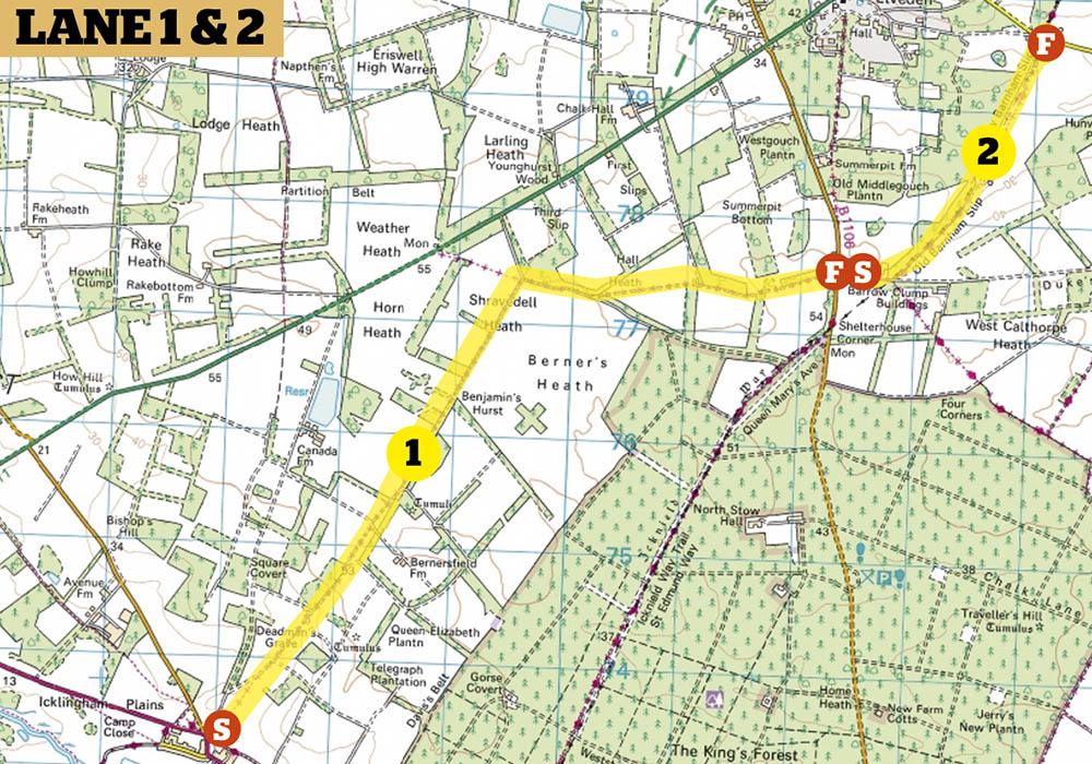 Trees a crowd Greenlaning in Thetford Land Rover Monthly