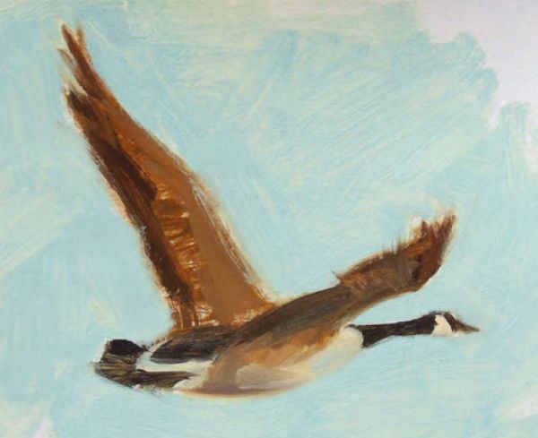 How to paint birds in flight