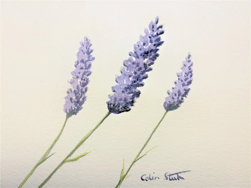 How to paint lavender