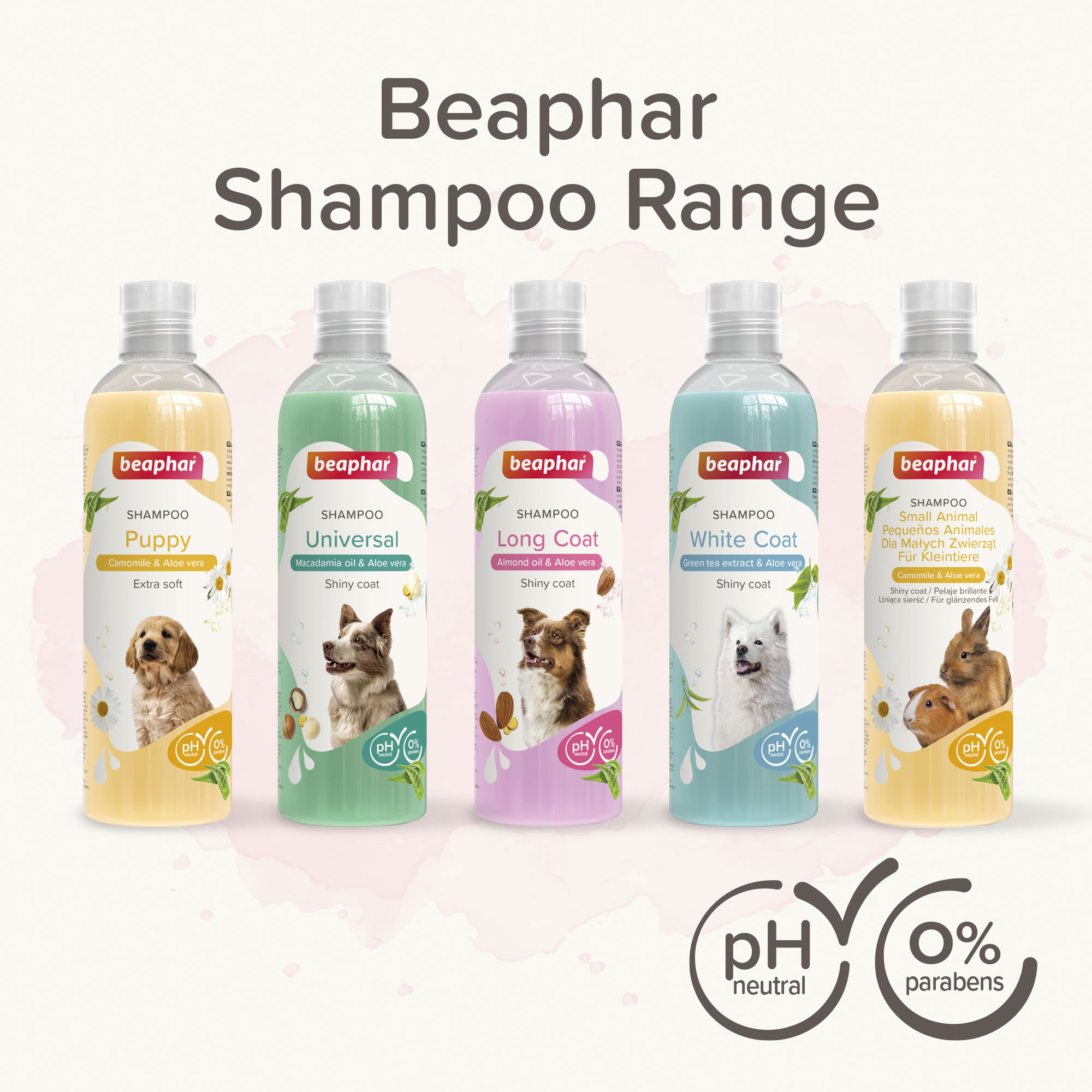 Beaphar's new range of pet shampoos Pet Product Marketing