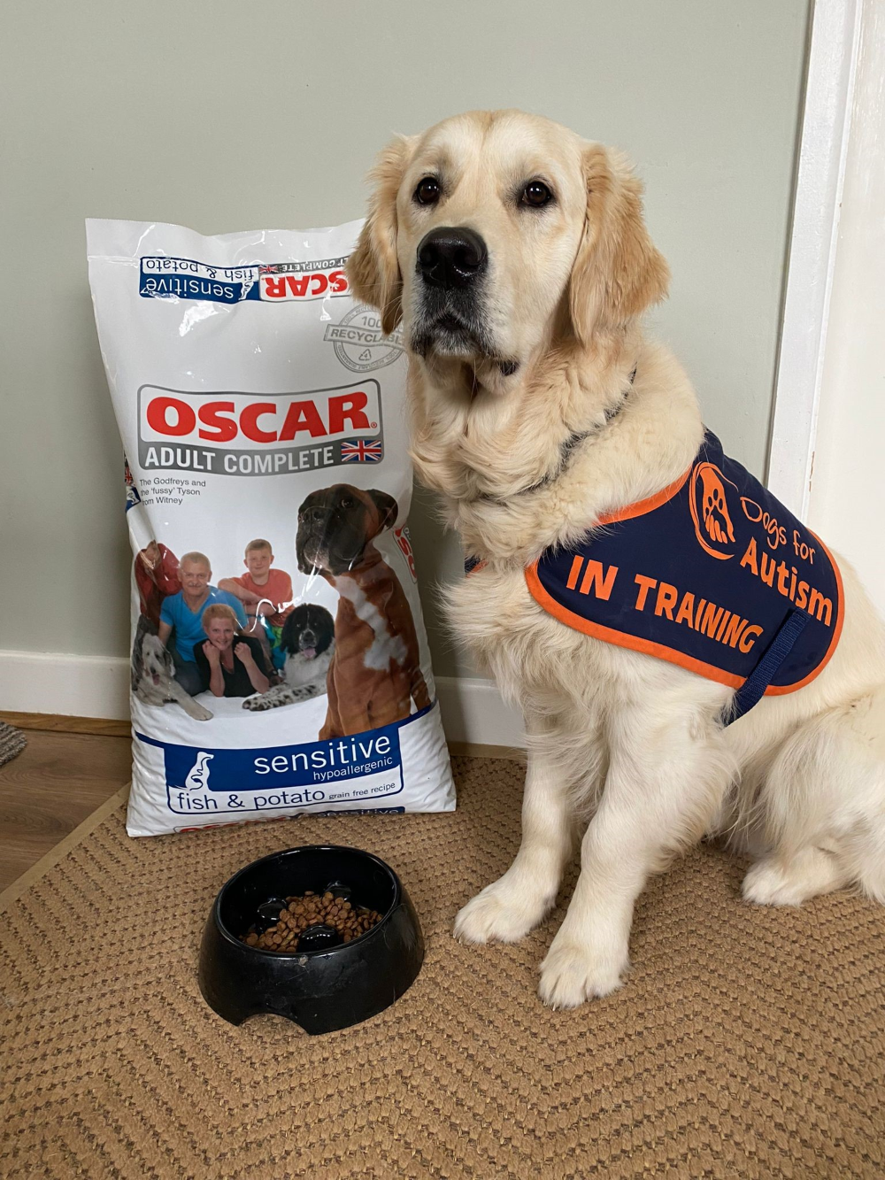 OSCAR Pet Foods proudly sponsors Dogs for Autism Pet Product Marketing
