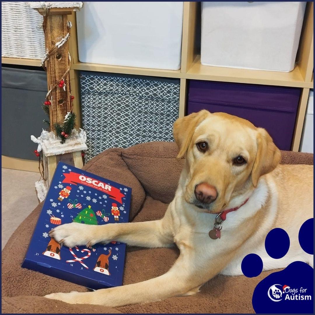 OSCAR Pet Foods bring festive cheer to rescues Pet Product Marketing