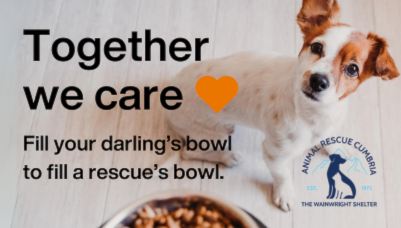 Care hot sale dog rescue