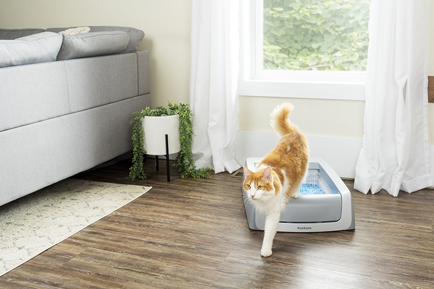 ScoopFree™ SelfCleaning Litter Box, Second Generation Pet Product Marketing