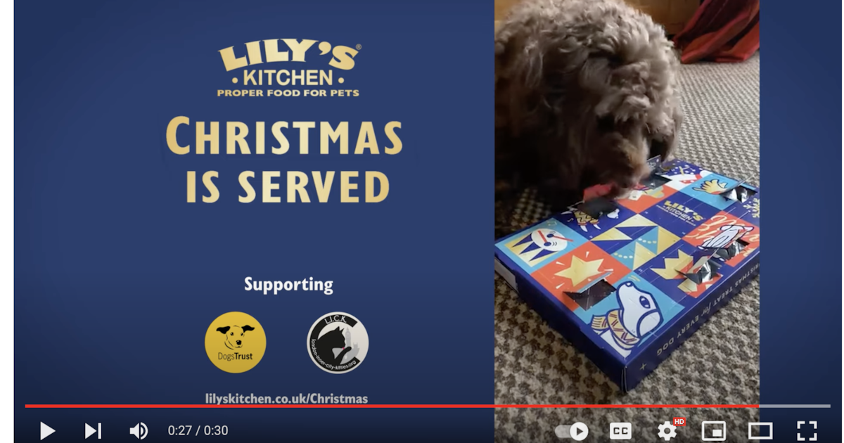 Lily’s Kitchen unveils Christmas advert Pet Product Marketing