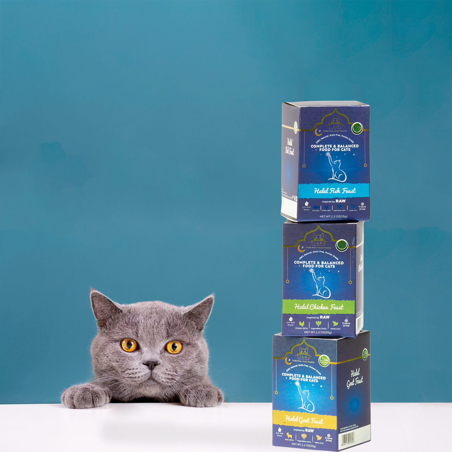 TIANA CHAMPIONS HALALFRIENDLY CAT FOOD Pet Product Marketing