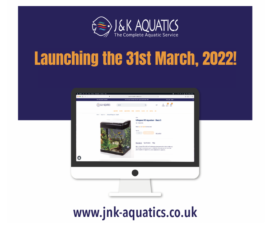 J&K Aquatics to launch brandnew website Pet Product Marketing