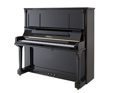 Bluthner S Pianist