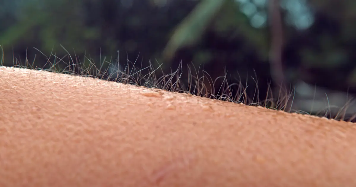 What is frisson? | Pianist