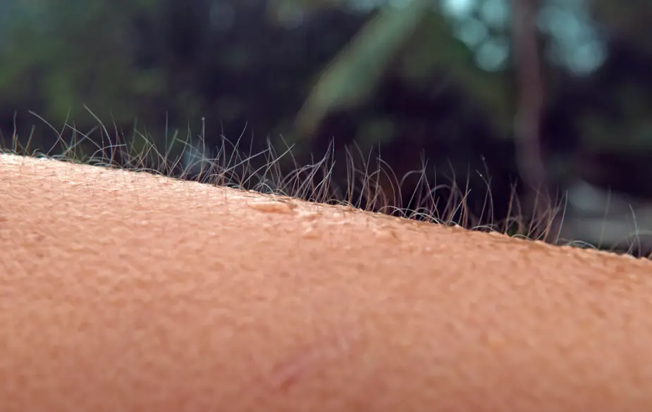 What is frisson? | Pianist