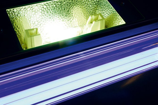 Why overdriving could burn down your home Practical Fishkeeping