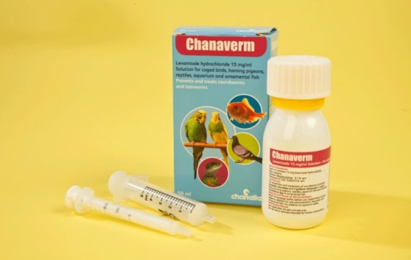 Levamisole for fish Levamisole for fish