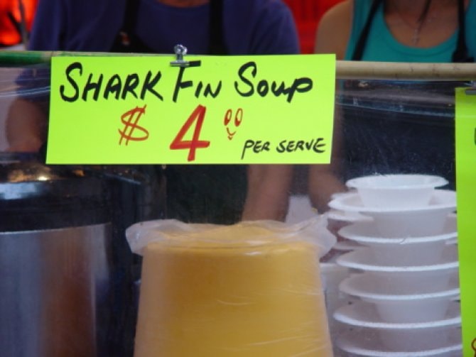 Shark fin soup could be banned in California Practical Fishkeeping