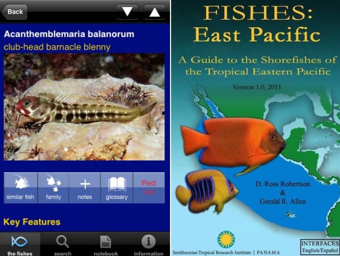Free fish ID app released for the iPhone! Practical Fishkeeping