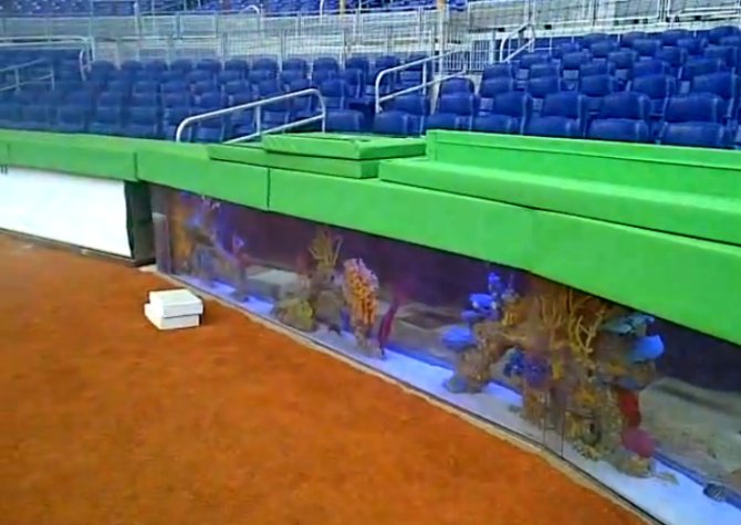 Controversial aquariums installed at baseball park Practical Fishkeeping