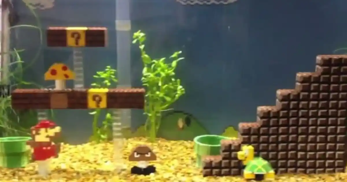 Video: Super Mario Bros fish tank - Practical Fishkeeping