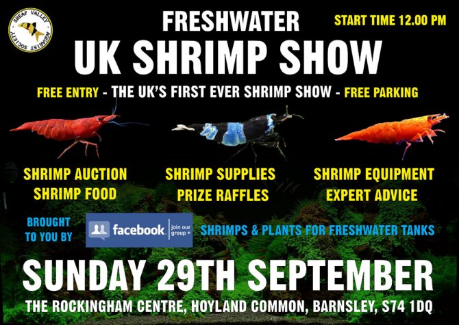 Sheaf Valley Aquarist Society to hold UKs first Shrimp show Practical