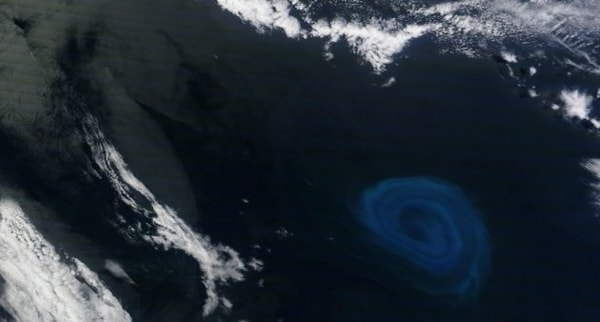 Massive 'dead zones' found in Atlantic - Practical Fishkeeping