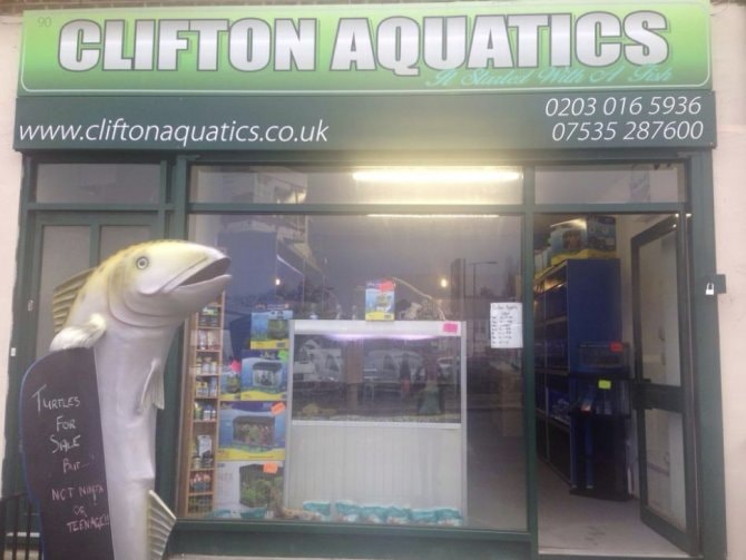 New aquatic shop open in London Practical Fishkeeping