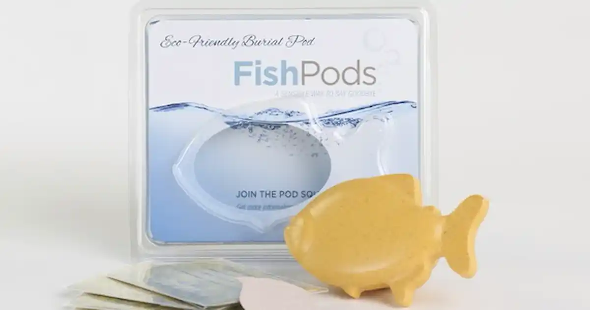 Eco-friendly burial pod for fishy friends - Practical Fishkeeping