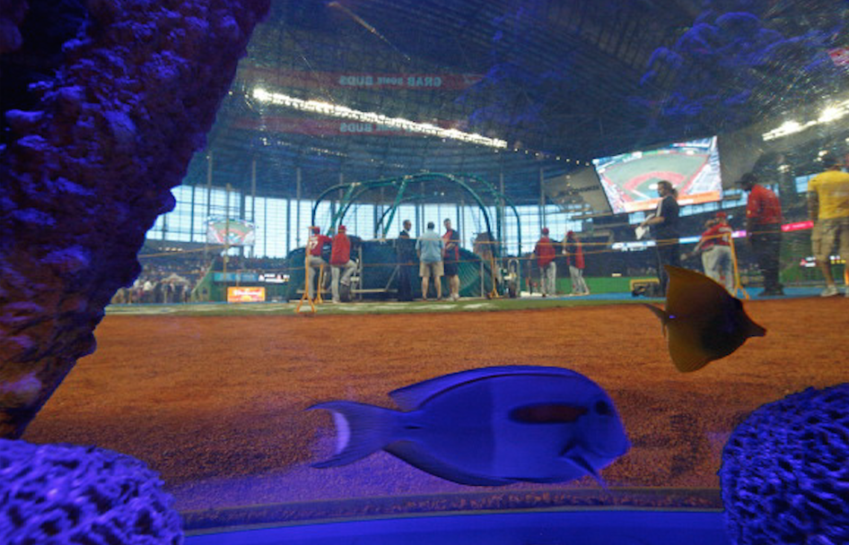 Fish tank broken at baseball park Practical Fishkeeping