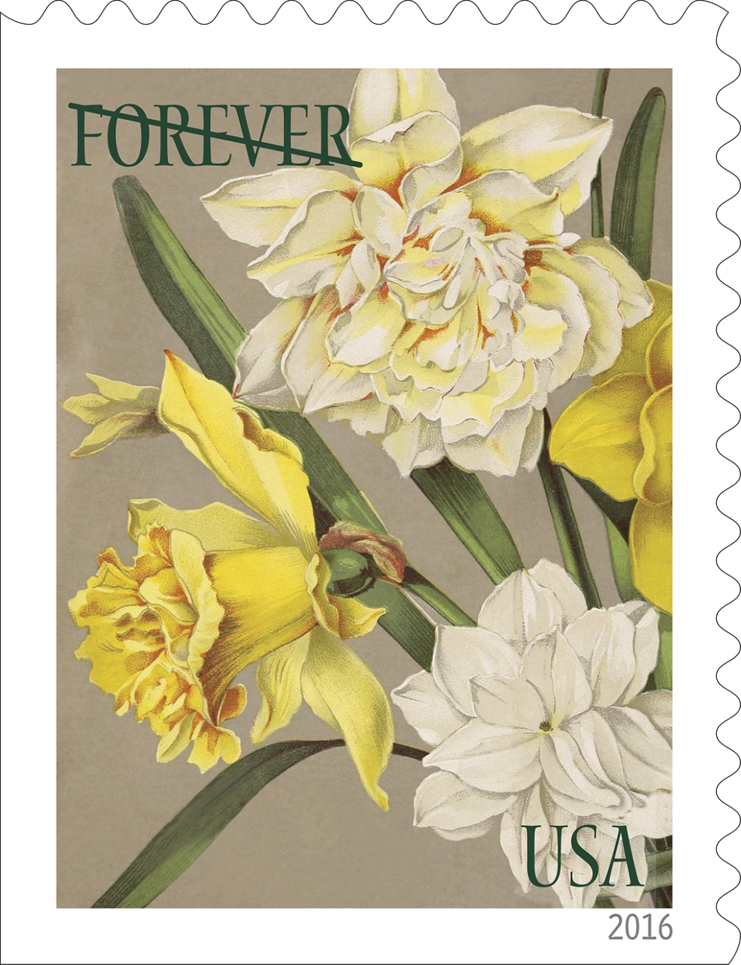 USA issue Botanical Art Forever stamps All About Stamps
