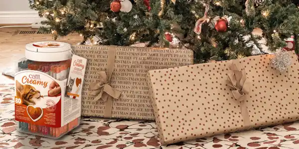 Image: https://azure.wgp-cdn.co.uk/app-yourcat/competitions/catit-creamy-1.jpg?&width=600&height=300&bgcolor=ffffff&mode=crop&format=webp&webp.quality=40&scale=both