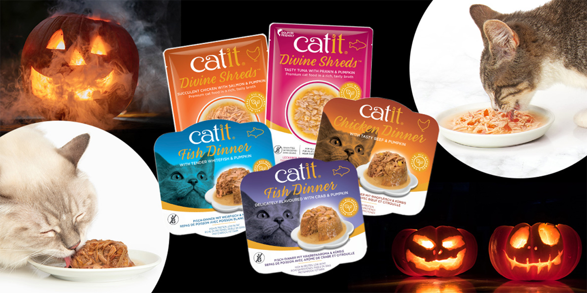 E 30/09 Win a pumpkin cat food bundle from Catit — MoneySavingExpert Forum