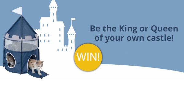 Image: https://azure.wgp-cdn.co.uk/app-yourcat/competitions/catitcastle.jpg?&width=600&height=300&bgcolor=ffffff&mode=crop&format=png&webp.quality=40&scale=both