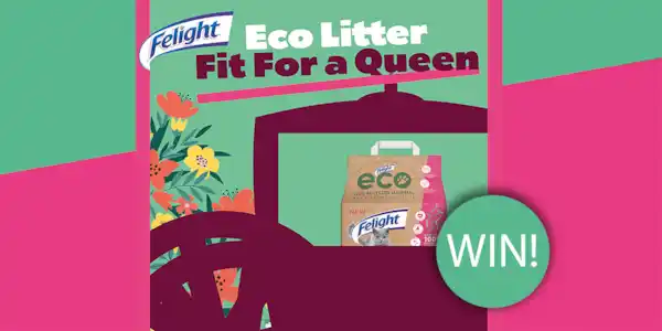 Image: https://azure.wgp-cdn.co.uk/app-yourcat/competitions/felightlitter.jpg?&width=600&height=300&bgcolor=ffffff&mode=crop&format=webp&webp.quality=40&scale=both