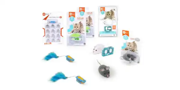 Image: https://azure.wgp-cdn.co.uk/app-yourcat/competitions/hexbug.jpg?&width=600&height=300&bgcolor=ffffff&mode=crop&format=webp&webp.quality=40&scale=both
