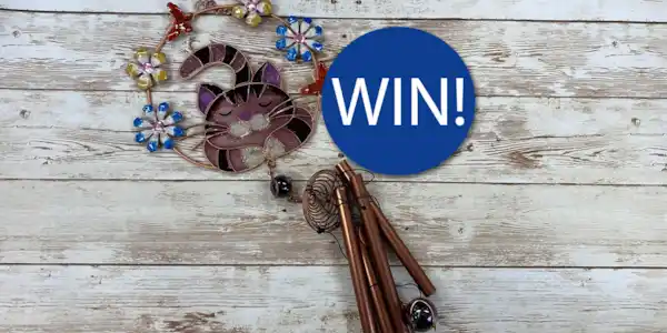 Image: https://azure.wgp-cdn.co.uk/app-yourcat/competitions/windchimenew-1.jpg?&width=600&height=300&bgcolor=ffffff&mode=crop&format=webp&webp.quality=40&scale=both