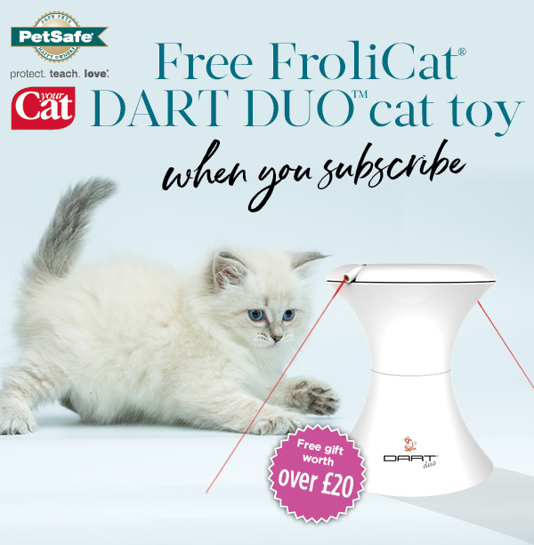 frolicat dart duo