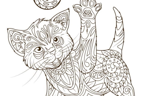 cat colour therapy  your cat